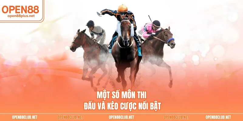 Một số môn thi đấu và kèo cược nổi bật