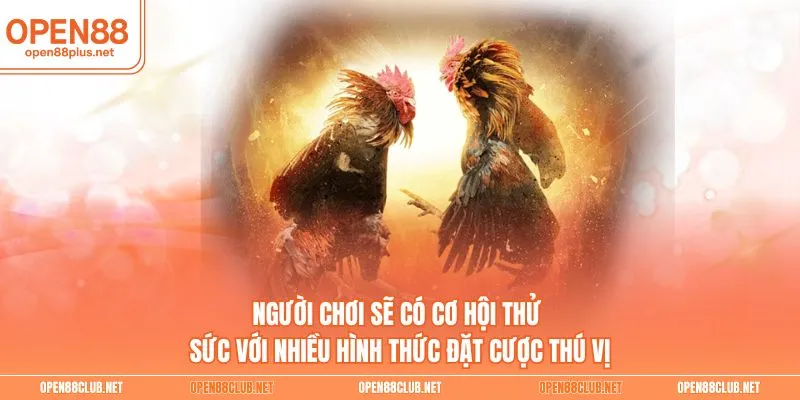 Người chơi sẽ có cơ hội thử sức với nhiều hình thức đặt cược thú vị