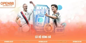 Cá độ bóng đá