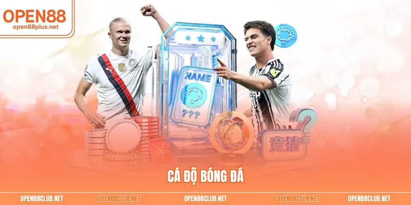Cá độ bóng đá