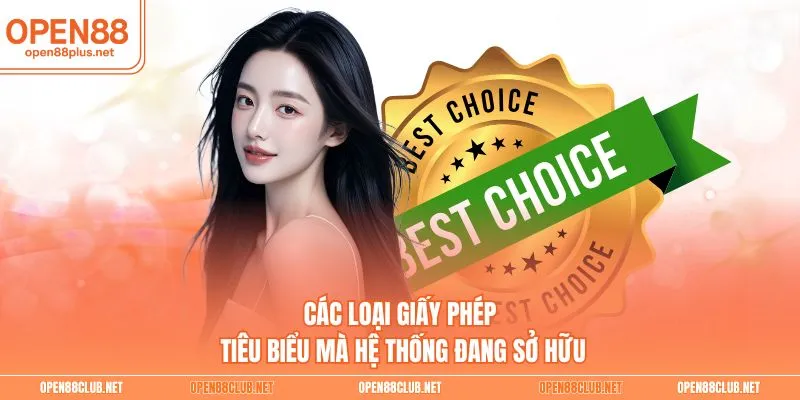 Các loại giấy phép tiêu biểu mà hệ thống đang sở hữu