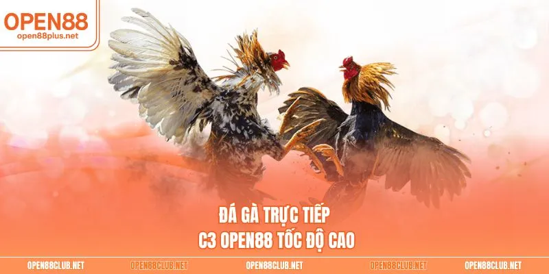 Đá gà trực tiếp C3 Open88 tốc độ cao