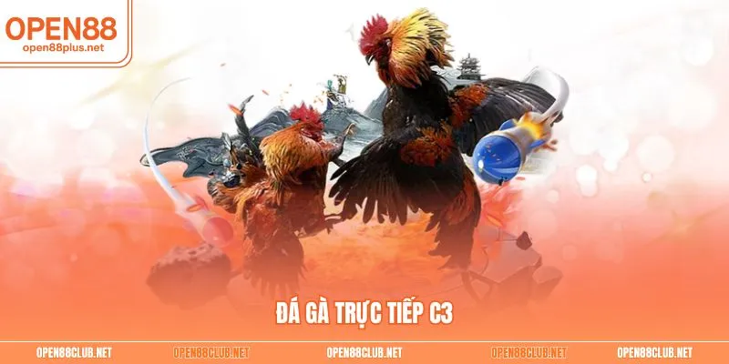 Đá gà trực tiếp C3