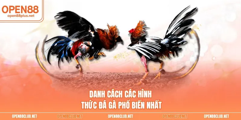 Danh cách các hình thức đá gà phổ biến nhất