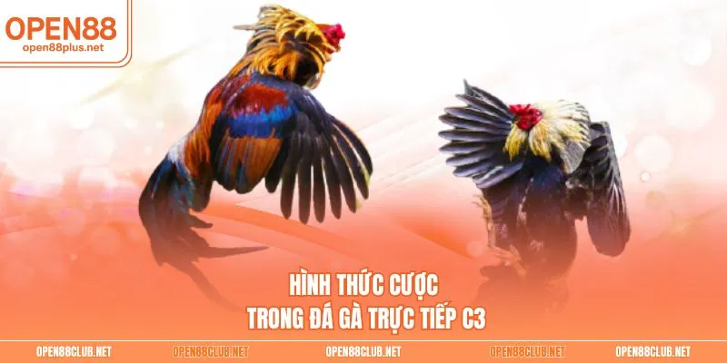 Hình thức cược trong đá gà trực tiếp C3