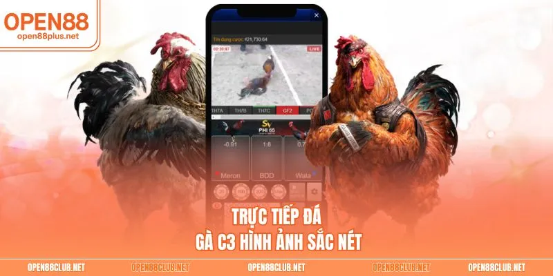 Trực tiếp đá gà C3 hình ảnh sắc nét
